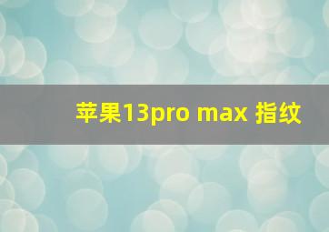 苹果13pro max 指纹